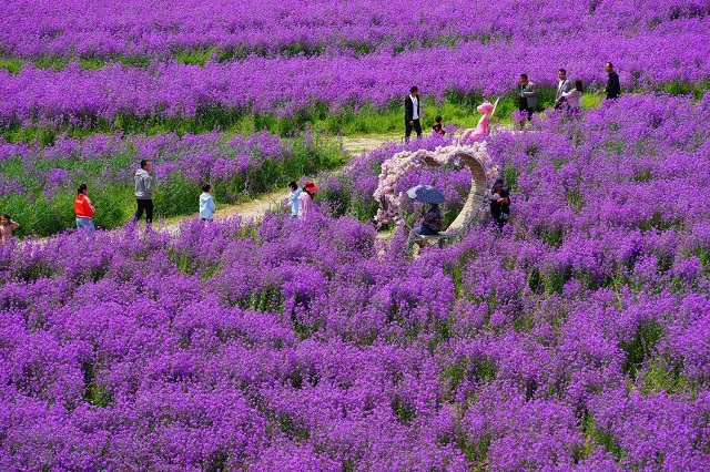 “五一”小長假駐馬店市文化旅游市場安全運行 實現(xiàn)旅游綜合收入21.6億元