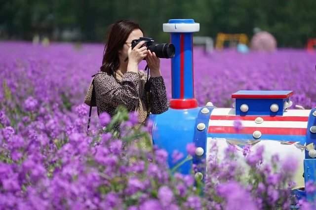 “五一”小長假駐馬店市文化旅游市場安全運行 實現(xiàn)旅游綜合收入21.6億元