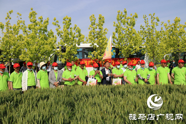 噸源種業(yè)舉辦2021蘇皖豫&ldquo;福高2號(hào)&rdquo;小麥觀摩會(huì)