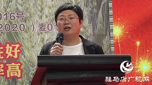 噸源種業(yè)舉辦2021蘇皖豫&ldquo;福高2號(hào)&rdquo;小麥觀摩會(huì)