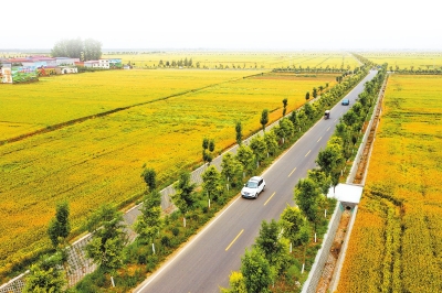 全力備戰(zhàn)&ldquo;三夏&rdquo; 力奪夏糧豐收｜麥浪飄香觀&ldquo;豐&rdquo;景
