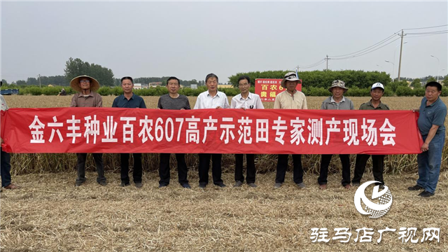 百農(nóng)607&mdash;&mdash;測產(chǎn)迎豐收