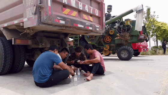 看三夏 | 搶！搶！搶！搶！搶！搶！