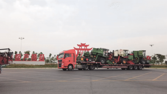 看三夏 | 搶！搶！搶！搶！搶！搶！