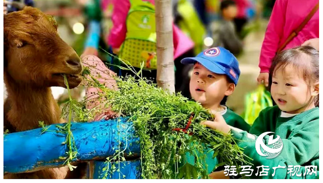 這個(gè)端午世外桃源門(mén)票免費(fèi)送！門(mén)票還包含水上樂(lè)園！