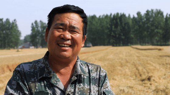 看三夏 | 搶！搶！搶！搶！搶！搶！