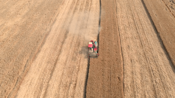 看三夏 | 搶！搶！搶！搶！搶！搶！