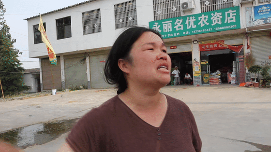 看三夏 | 搶！搶！搶！搶！搶！搶！