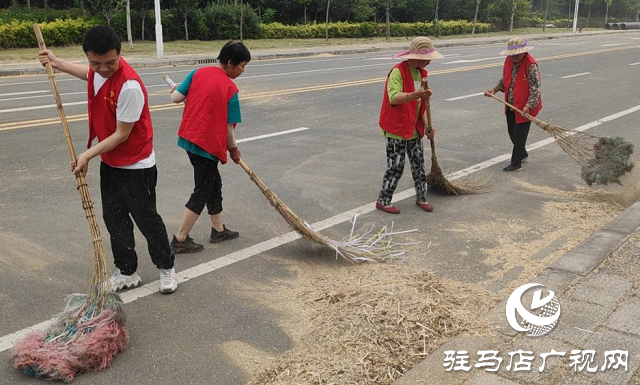 西平：志愿者服務隊深入田間地塊助力“三夏”生產暖民心