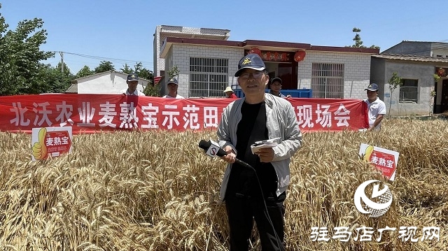 專(zhuān)家見(jiàn)證：麥?zhǔn)鞂毚箫@神威，畝均增產(chǎn)220斤！