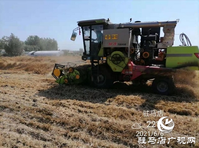 專(zhuān)家見(jiàn)證：麥?zhǔn)鞂毚箫@神威，畝均增產(chǎn)220斤！