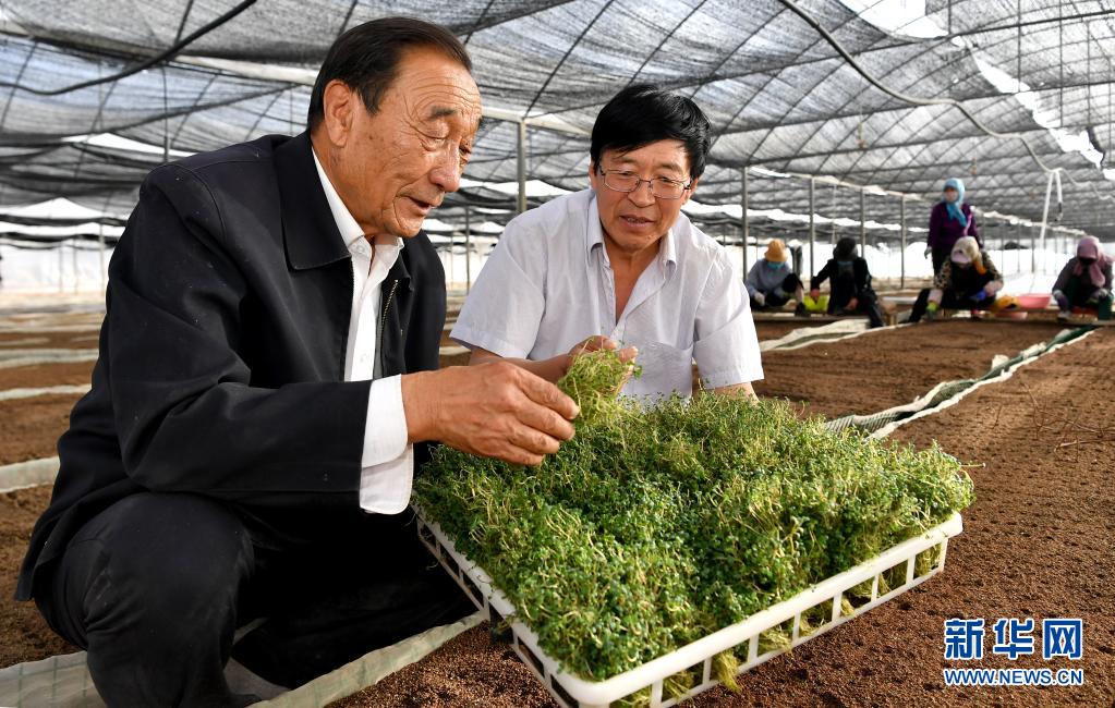奮斗百年路 啟航新征程·“七一勛章”獲得者｜治沙英雄石光銀：干成治沙一件事，就算沒(méi)白活