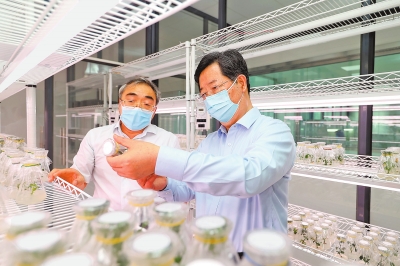 樓陽生在調研科技創(chuàng)新工作時強調 下非常之功用恒久之力 全力建設國家創(chuàng)新高地