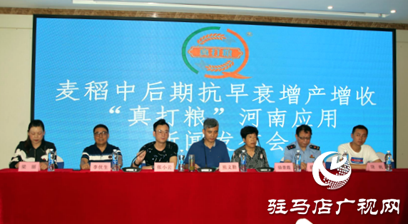 “真打糧”助力駐馬店農(nóng)業(yè)小麥，水稻每畝平均增產(chǎn)109.89公斤