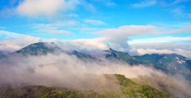 “市”外有桃園，宜陽花果山，遛娃首選點