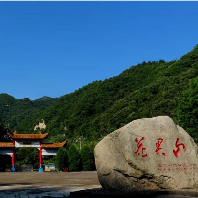 “市”外有桃園，宜陽花果山，遛娃首選點