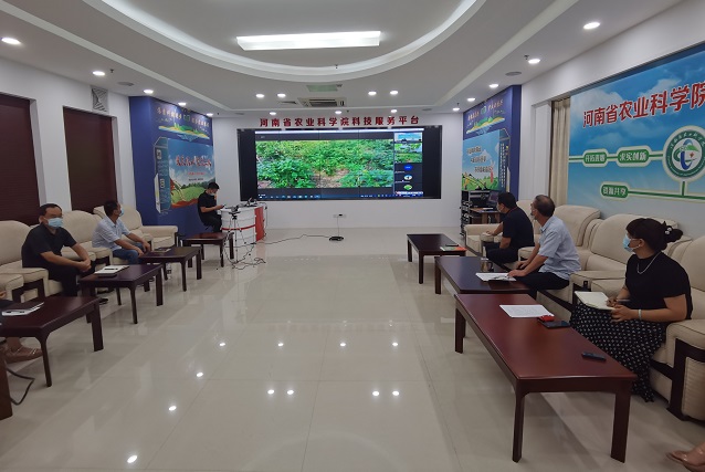河南：云端“診斷”開“處方”，災后復產技術到田間