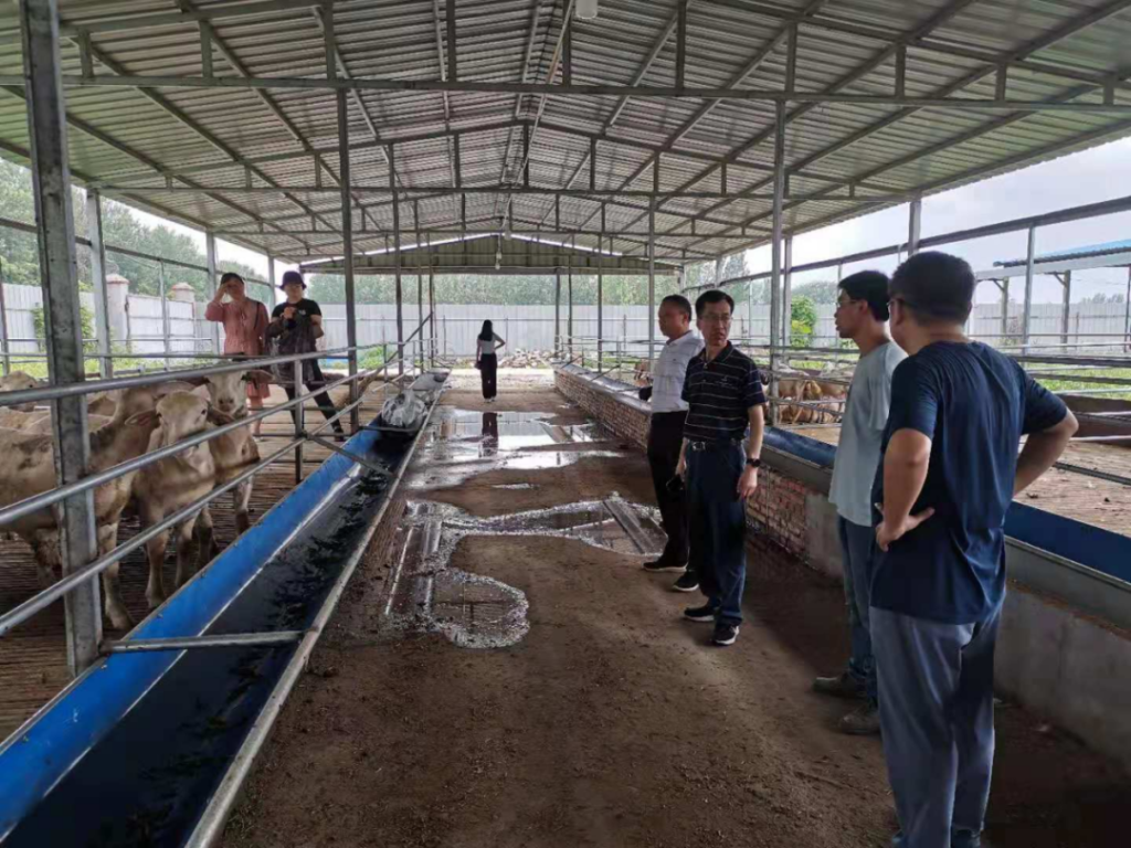 河南：汛情過后，科技支撐恢復(fù)農(nóng)業(yè)生產(chǎn)