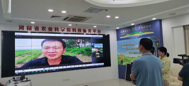 河南：云端&ldquo;診斷&rdquo;開&ldquo;處方&rdquo;，災(zāi)后復(fù)產(chǎn)技術(shù)到田間