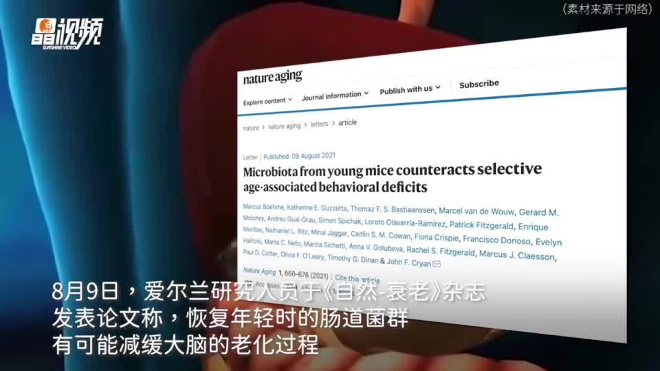 大腦衰老，從腸道里治？移植年輕者的腸道菌群或能使大腦年輕
