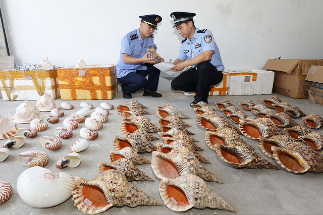 破獲危害珍貴、瀕危野生動物案