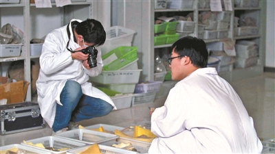 全世界最古老鑄幣作坊，在俺大河南