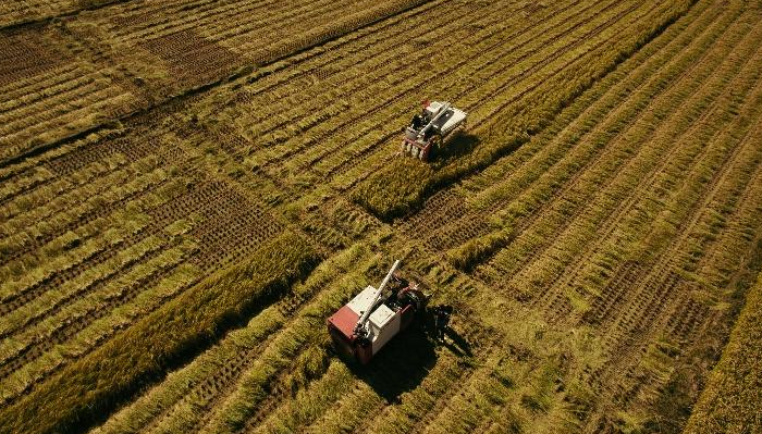 100個項目入圍河南省高素質農民創(chuàng)業(yè)創(chuàng)新大賽復賽，看看都有啥特點