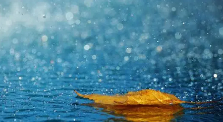 本月河南還有四輪大范圍降水！請(qǐng)注意防范