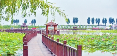 河南這些鄉(xiāng)村有了大變化！ 產(chǎn)業(yè)興、農村美、農民富的美麗畫卷正徐徐展開