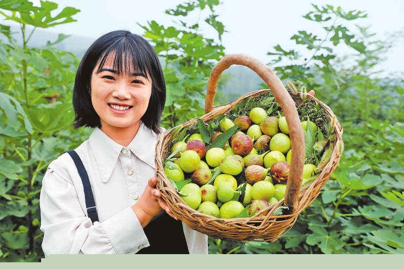 中國農(nóng)民豐收節(jié)活動將于9月23日舉行 一系列精彩活動搶先看