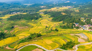 農(nóng)業(yè)農(nóng)村部等6部門聯(lián)合印發(fā)《“十四五”全國農(nóng)業(yè)綠色發(fā)展規(guī)劃》