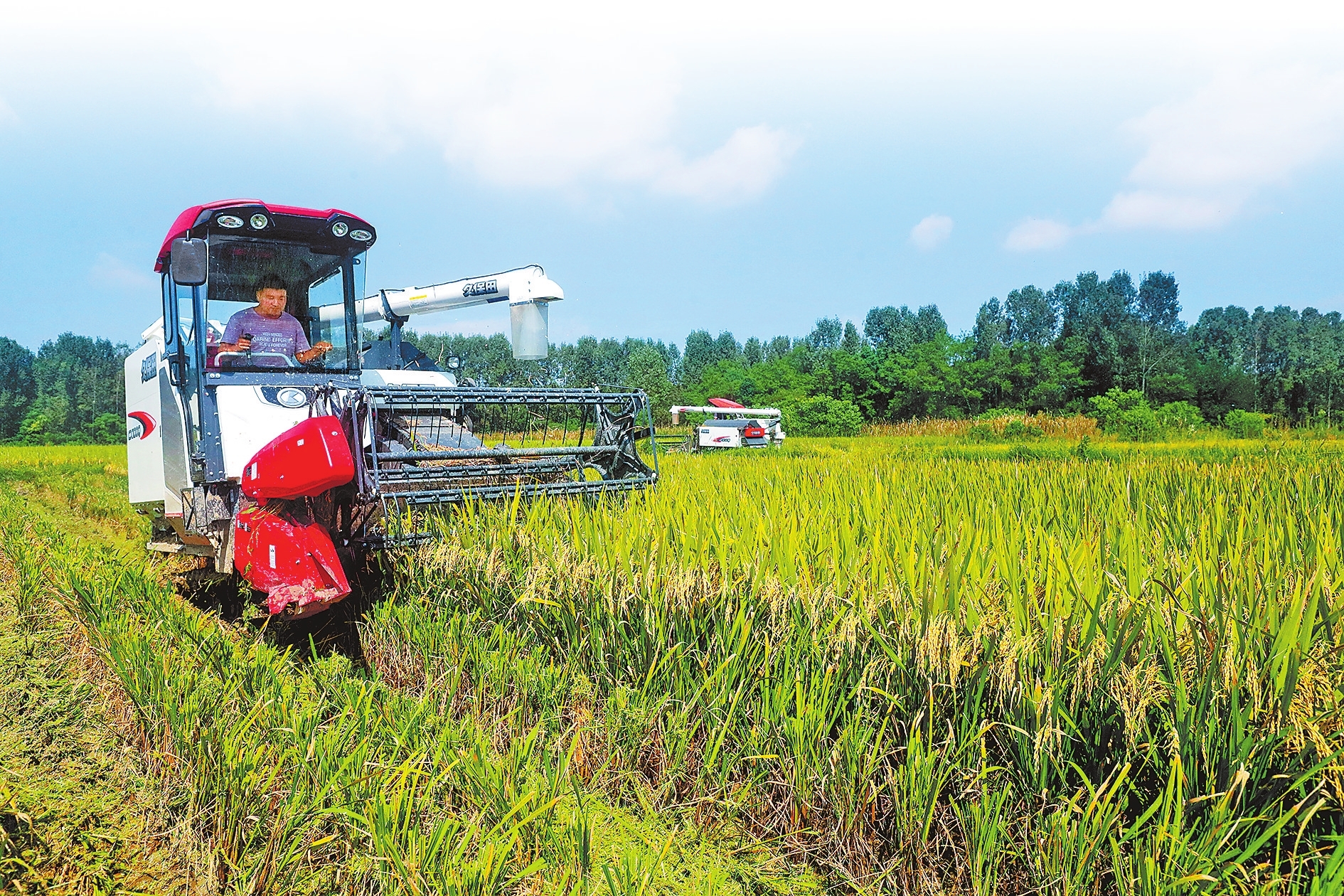 中國農(nóng)民豐收節(jié)活動將于9月23日舉行 一系列精彩活動搶先看