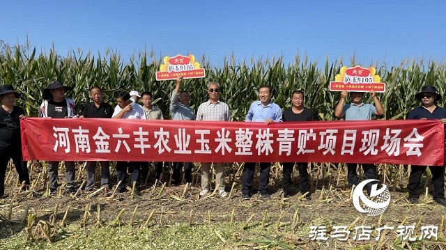 廬玉9105玉米青貯現(xiàn)場觀摩會(huì)成功召開