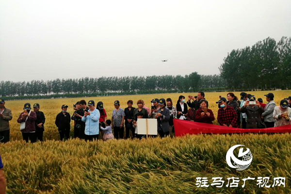 重磅！麥熟寶，驚艷亮相！2020年北沃農(nóng)業(yè)再出大招！
