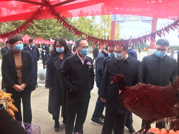 中國開封第39屆菊花文化節(jié)|千菊華章 宋韻霓裳 通許分會場開幕