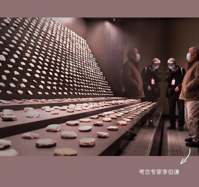 新華全媒+PLOG丨史前先民的“花花”世界，我沉迷了……