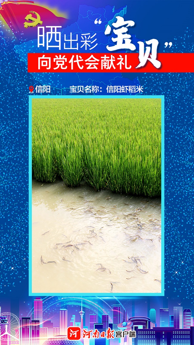 海報(bào) | 曬出彩“寶貝” 向黨代會(huì)獻(xiàn)禮 信陽(yáng)“寶貝”茶、油、稻