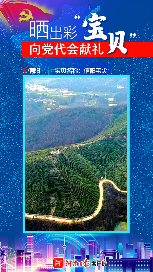 海報(bào) | 曬出彩“寶貝” 向黨代會(huì)獻(xiàn)禮 信陽(yáng)“寶貝”茶、油、稻