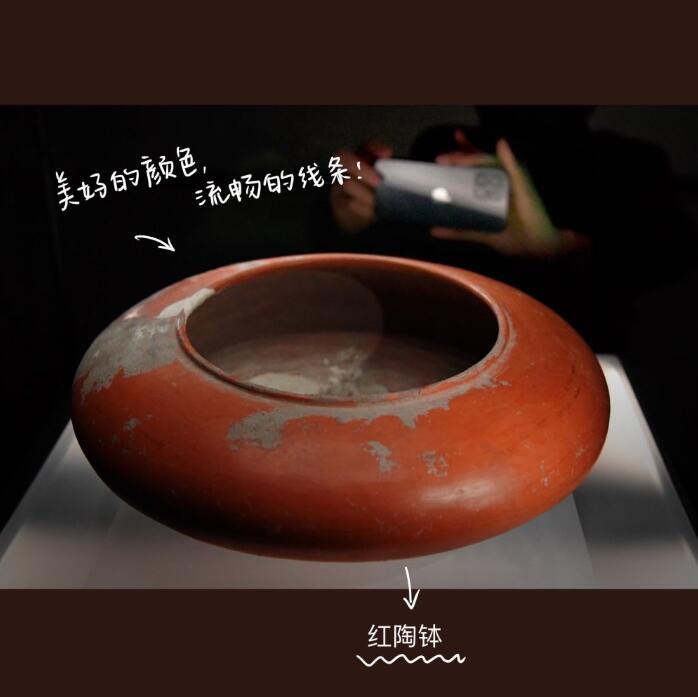 新華全媒+PLOG丨史前先民的“花花”世界，我沉迷了……