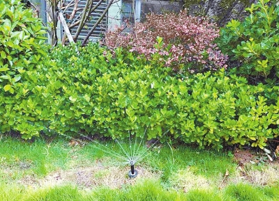 鄭州智能小區(qū)有多“聰明” 攝像頭、噴灌裝置、門禁都會(huì)“思考”啦