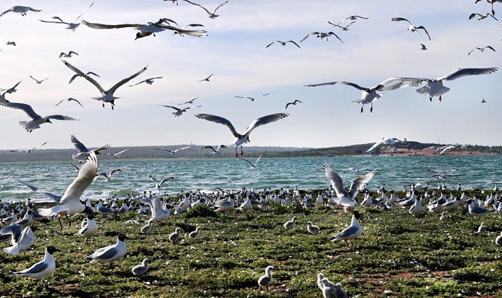 法治課代表|這些法律草案正在審議，事關(guān)你我！