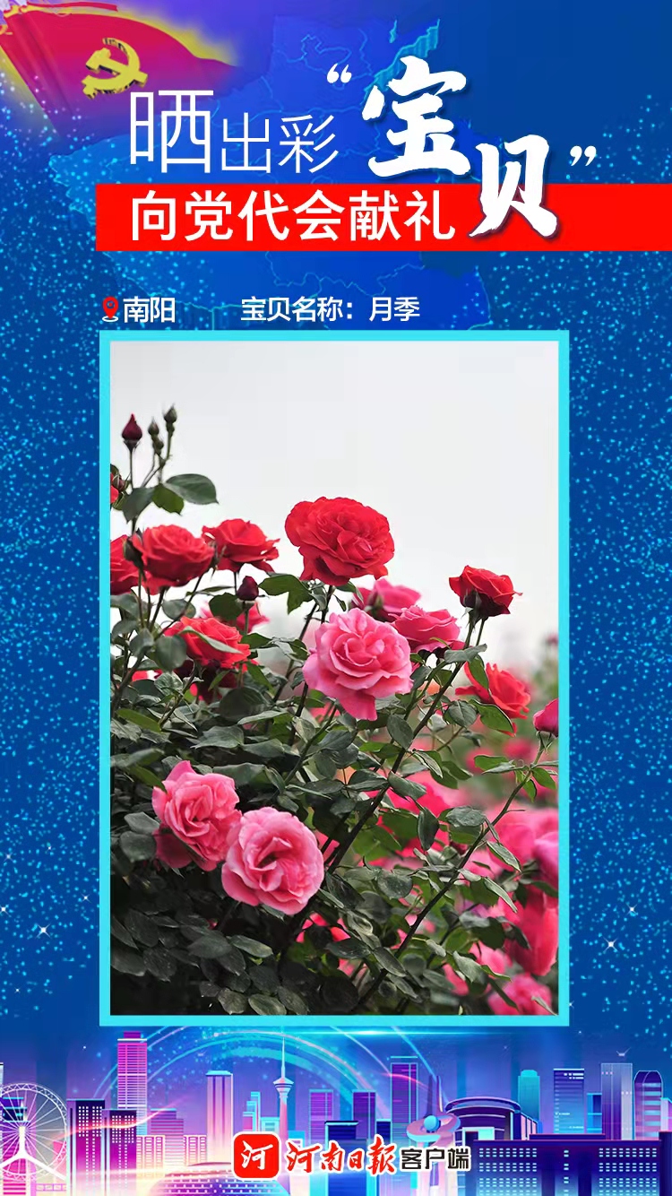 海報｜曬出彩“寶貝” 向黨代會獻(xiàn)禮 南陽“寶貝”水和花