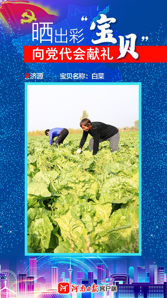 海報丨曬出彩“寶貝”向黨代會獻禮濟源“寶貝”數“三白”