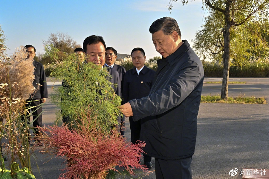 習(xí)近平在山東東營考察黃河入?？? /></p>
<p style=