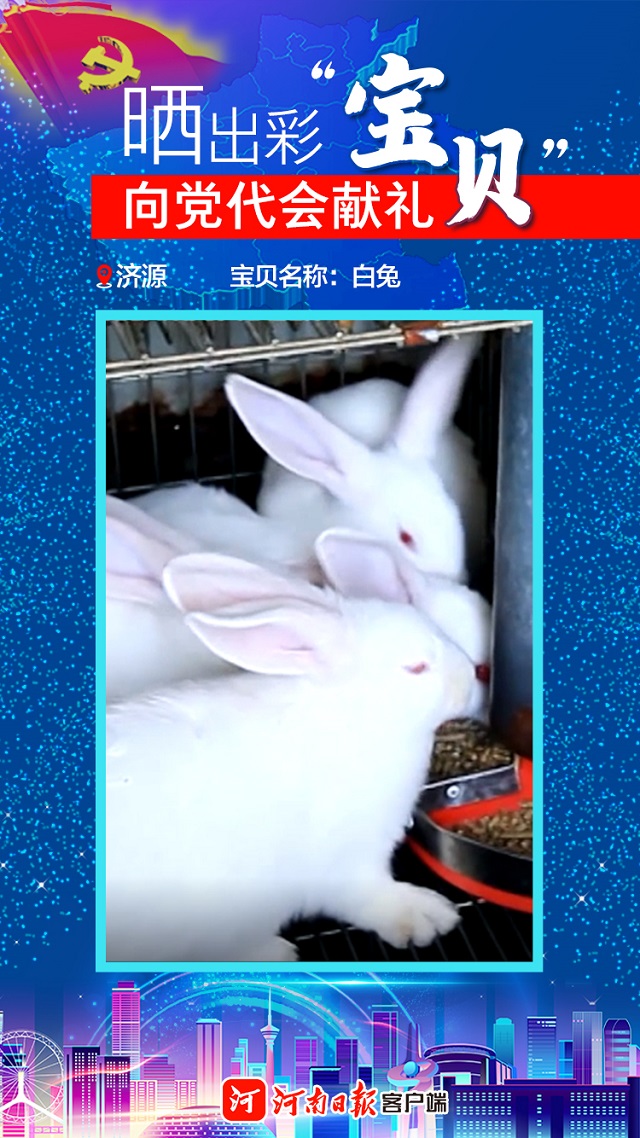 海報丨曬出彩“寶貝”向黨代會獻禮濟源“寶貝”數“三白”