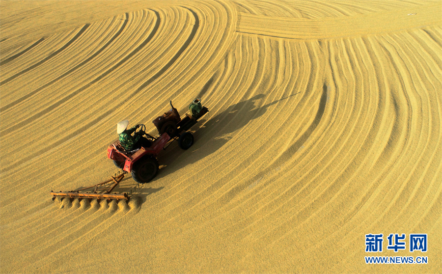 【&ldquo;飛閱&rdquo;中國】豐收的畫卷，真美！