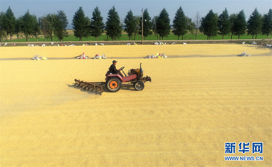 【&ldquo;飛閱&rdquo;中國】豐收的畫卷，真美！