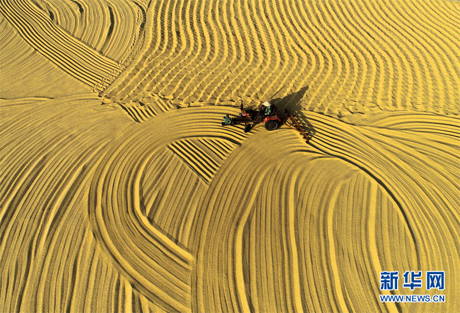 【“飛閱”中國】豐收的畫卷，真美！