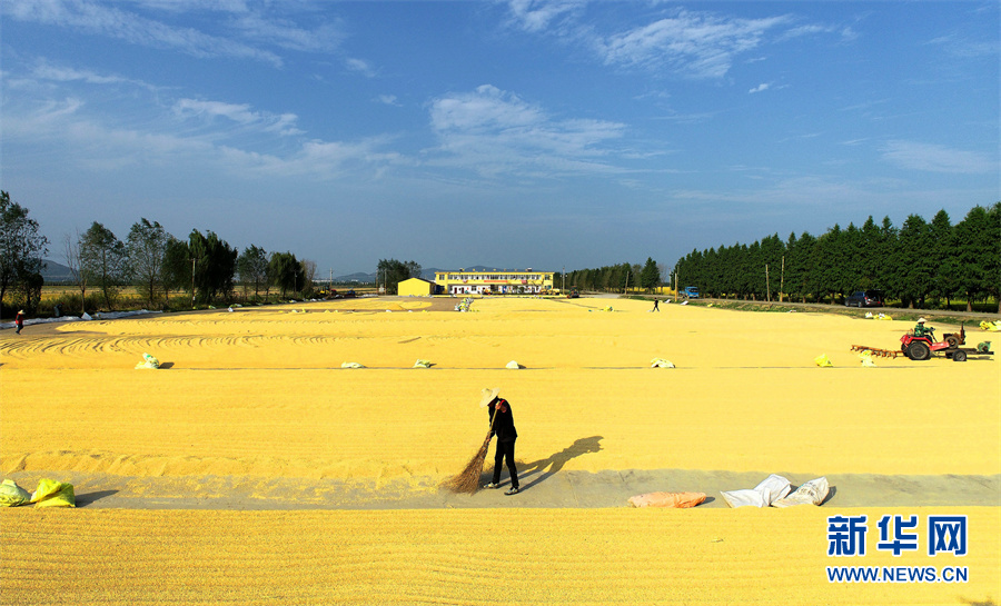 【&ldquo;飛閱&rdquo;中國】豐收的畫卷，真美！