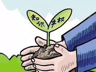 “保護(hù)知識(shí)產(chǎn)權(quán)就是保護(hù)創(chuàng)新”：辦好一個(gè)案子，幫扶兩家企業(yè)